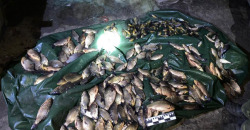 Вылов рыбы запрещен: в Днепропетровской области задержали браконьера - рис. 11