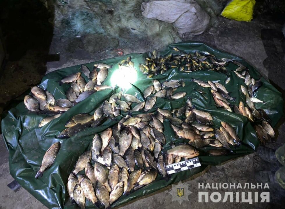 Вылов рыбы запрещен: в Днепропетровской области задержали браконьера - рис. 1