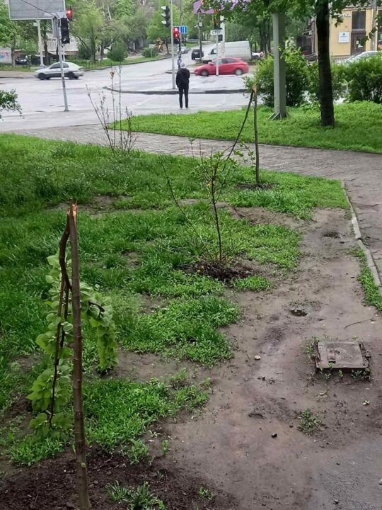Полиция установила личность подростка, который обломал саженцы в центре Днепра - рис. 1