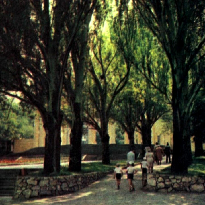 Как в Днепре выглядел парк Шевченко после реконструкции в 1971-74 годах (Фото) - рис. 7