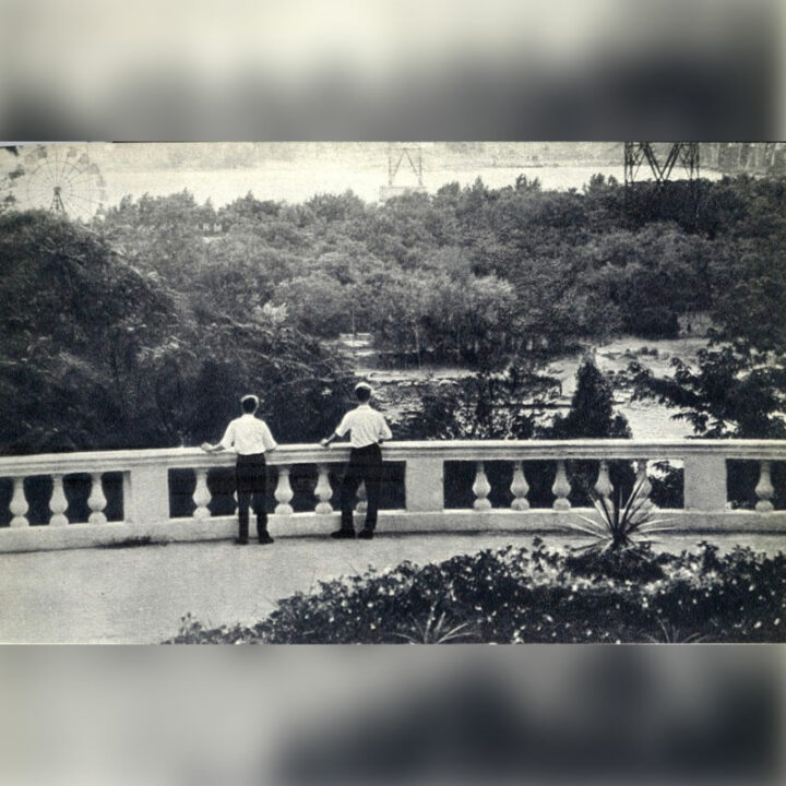Как в Днепре выглядел парк Шевченко после реконструкции в 1971-74 годах (Фото) - рис. 10