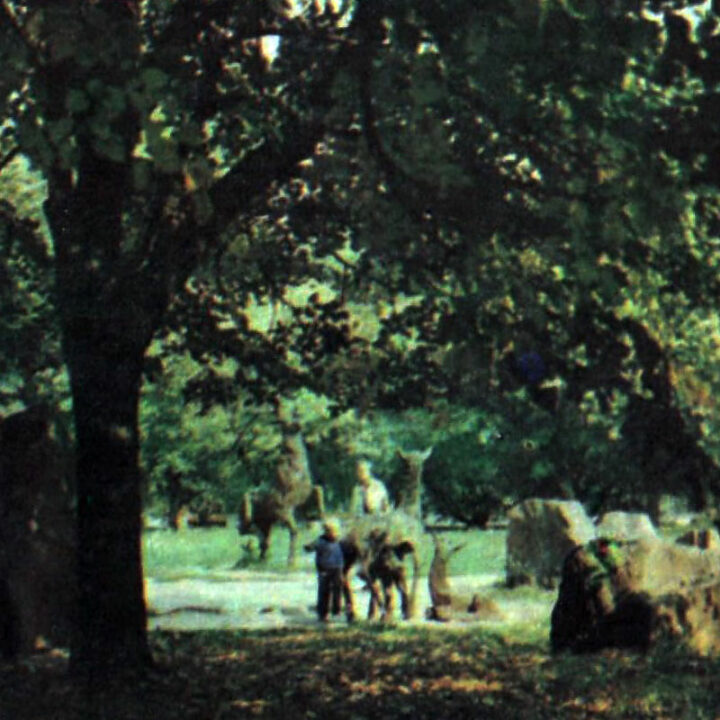 Как в Днепре выглядел парк Шевченко после реконструкции в 1971-74 годах (Фото) - рис. 4