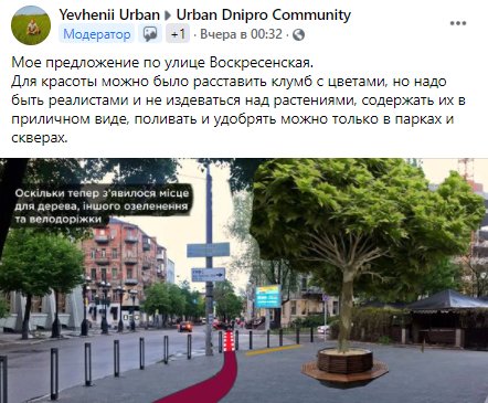 По инициативе урбанистов: в центре Днепра предлагают высадить необычное дерево - рис. 3