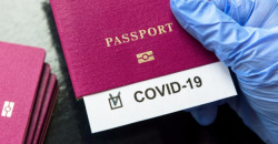 Пропуск в Европу: в Украине планируют ввести COVID-паспорта - рис. 5