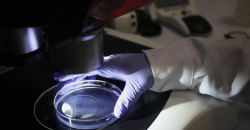 Коронавирус мог появится в лаборатории: ученые хотят разобраться - рис. 14