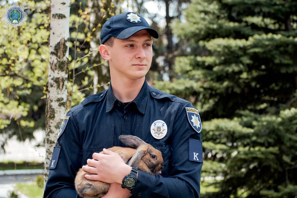 В Днепре живет кролик-полицейский (ФОТО) - рис. 2