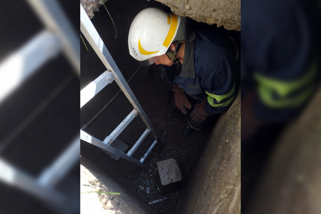 В Каменском сотрудники ГСЧС спасли упавшую в яму собаку - рис. 2