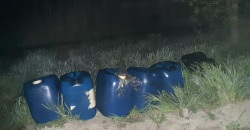 В Павлограде местный житель слил с припаркованной фуры 240 литров дизтоплива - рис. 5