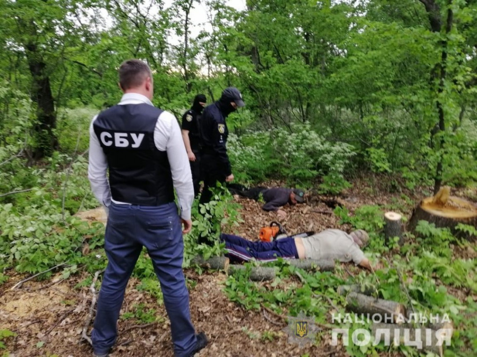На Днепропетровщине задержали банду «черных» дровосеков - рис. 1