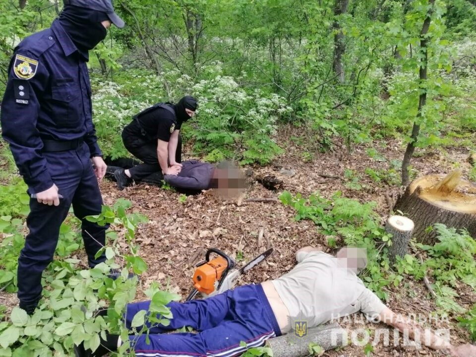 На Днепропетровщине задержали банду «черных» дровосеков - рис. 2