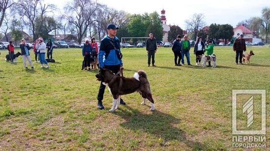 В Кривом Роге проходит весенняя выставка собак - рис. 2