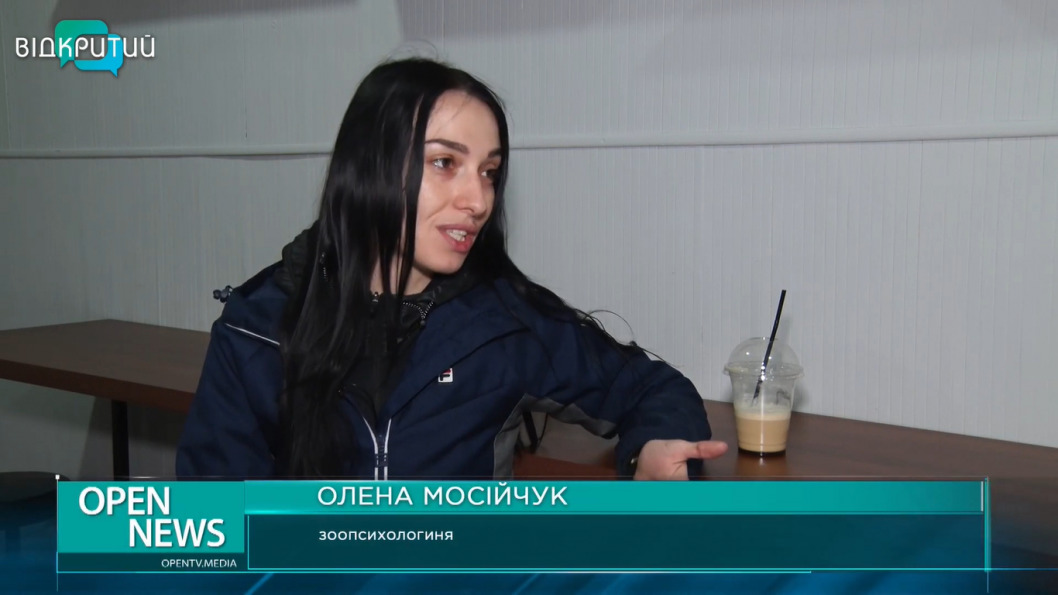 Что нужно собаке для счастья: владельцы хвостатых о своих питомцах (ВИДЕО) - рис. 8