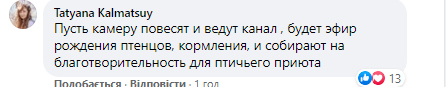 Яйца в подарок: в Эпицентре Днепра продавали тую с гнездом - рис. 3