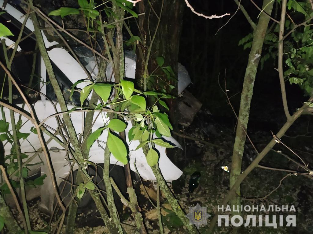 Пассажир мертв, водитель сбежал: на Днепропетровщине Mercedes въехал в дерево - рис. 1