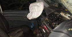 Пассажир мертв, водитель сбежал: на Днепропетровщине Mercedes въехал в дерево - рис. 7