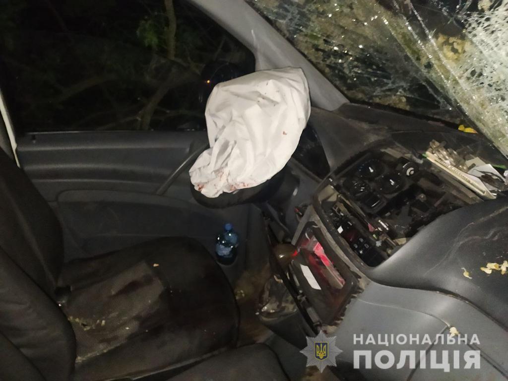 Пассажир мертв, водитель сбежал: на Днепропетровщине Mercedes въехал в дерево - рис. 2