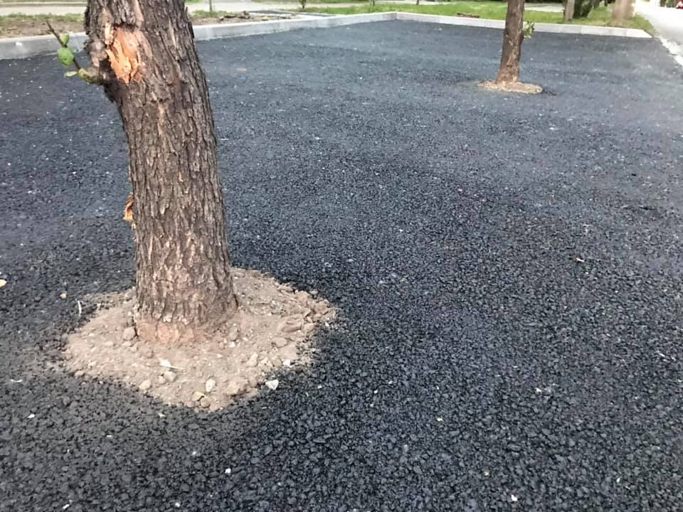 Горе от ума: в Днепре на одной из парковок деревья закатали в асфальт (ФОТО) - рис. 2