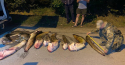 Рекордный улов: на Днепропетровщине задержали браконьеров с 5 тоннами рыбы - рис. 6