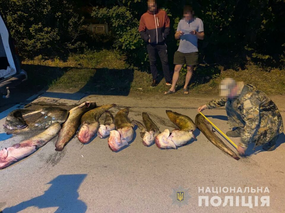 Рекордный улов: на Днепропетровщине задержали браконьеров с 5 тоннами рыбы - рис. 1