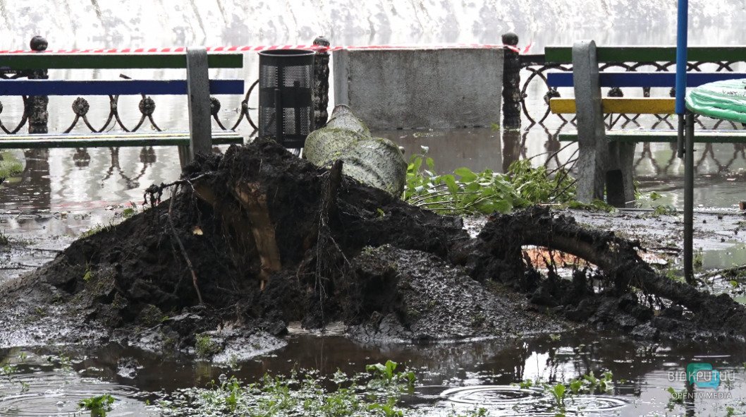 В Днепре затопило парк Глобы, а ветер обрушил деревья на аттракционы (ФОТО) - рис. 4