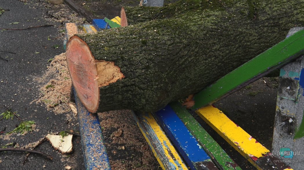 В Днепре затопило парк Глобы, а ветер обрушил деревья на аттракционы (ФОТО) - рис. 6
