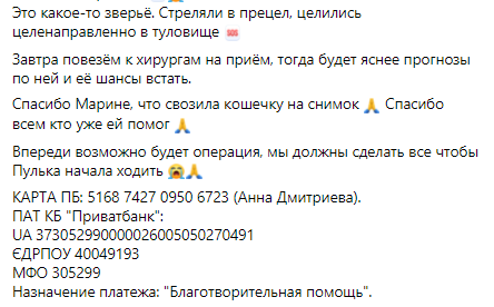 На неё охотились живодеры: в Днепре 4 день спасают кошку с травмой позвоночника - рис. 5