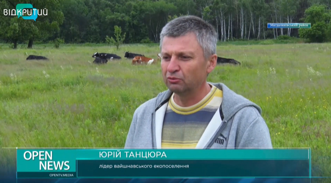 На Днепропетровщине в экопоселении спасают от отправки на забой коров (ВИДЕО) - рис. 2