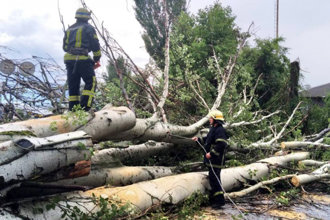 В Днепропетровской области ураган повалил множество деревьев (ФОТО) - рис. 1