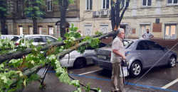 В Днепропетровской области ураган повалил множество деревьев (ФОТО) - рис. 19