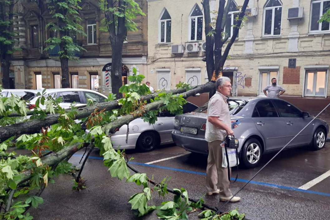 В Днепропетровской области ураган повалил множество деревьев (ФОТО) - рис. 8