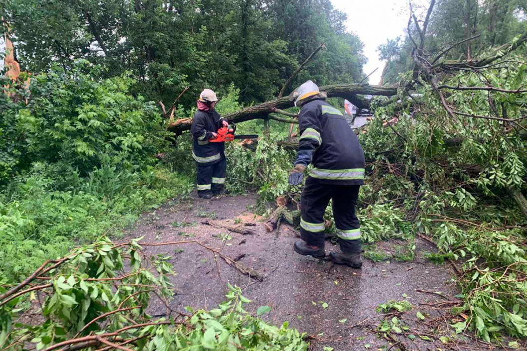 В Днепропетровской области ураган повалил множество деревьев (ФОТО) - рис. 7