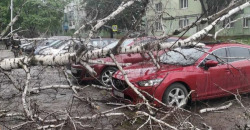 В Днепре дерево упало сразу на несколько машин - рис. 14