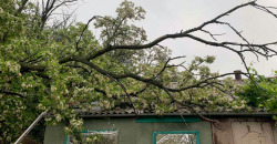 В Днепропетровской области упавшее дерево повредило крышу дома (ФОТО) - рис. 7