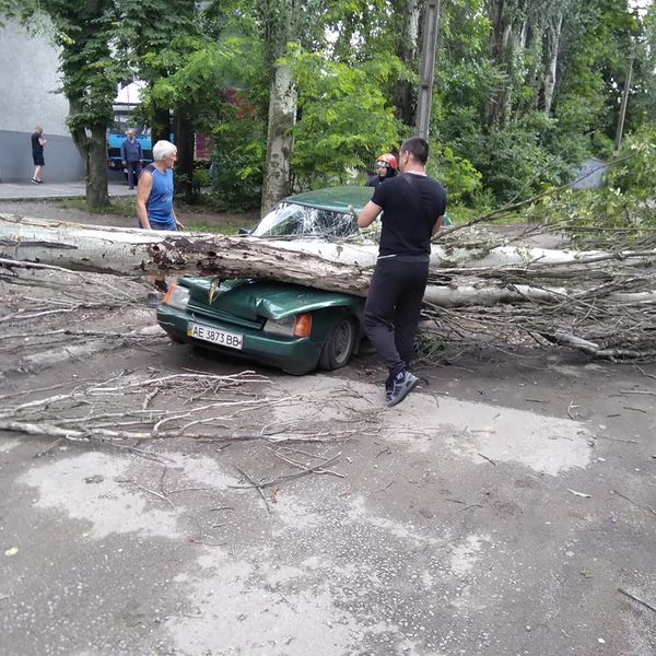 В Марганце дерево упало на проезжавший автомобиль: семейная пара чудом выжила - рис. 3