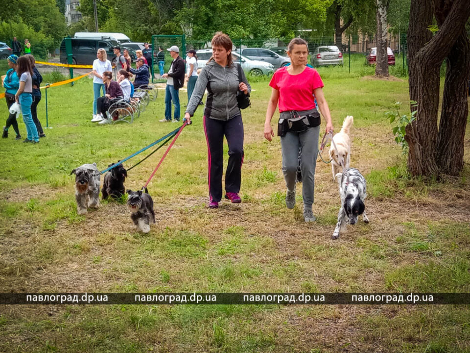 В Павлограде проходит Всеукраинская выставка собак (ФОТО+ВИДЕО) - рис. 1