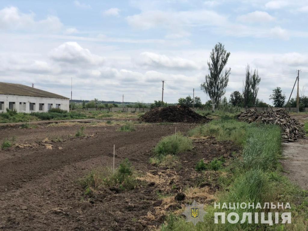 Фирменное свинство: под Днепром аграрии устроили свалку навоза - рис. 2