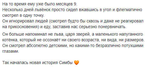 Живая игрушка: в Днепре хозяева зарабатывали на львенке - рис. 3