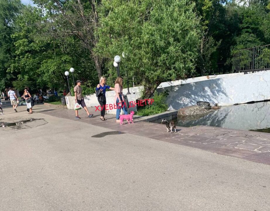 Розовая не пантера: в Днепре хозяйка перекрасила своего питомца - рис. 2