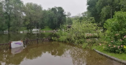 Летний потоп: этой ночью в Днепре «плавали» авто и падали деревья (ФОТО/ВИДЕО) - рис. 8