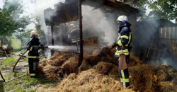 На Днепропетровщине сгорели 2 тонны сена - рис. 7