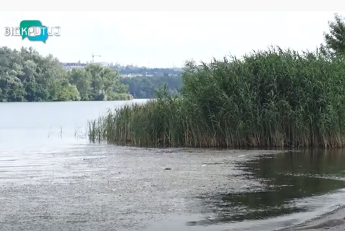 В Днепре эксперты проверили качество воды в реке: видео - рис. 5
