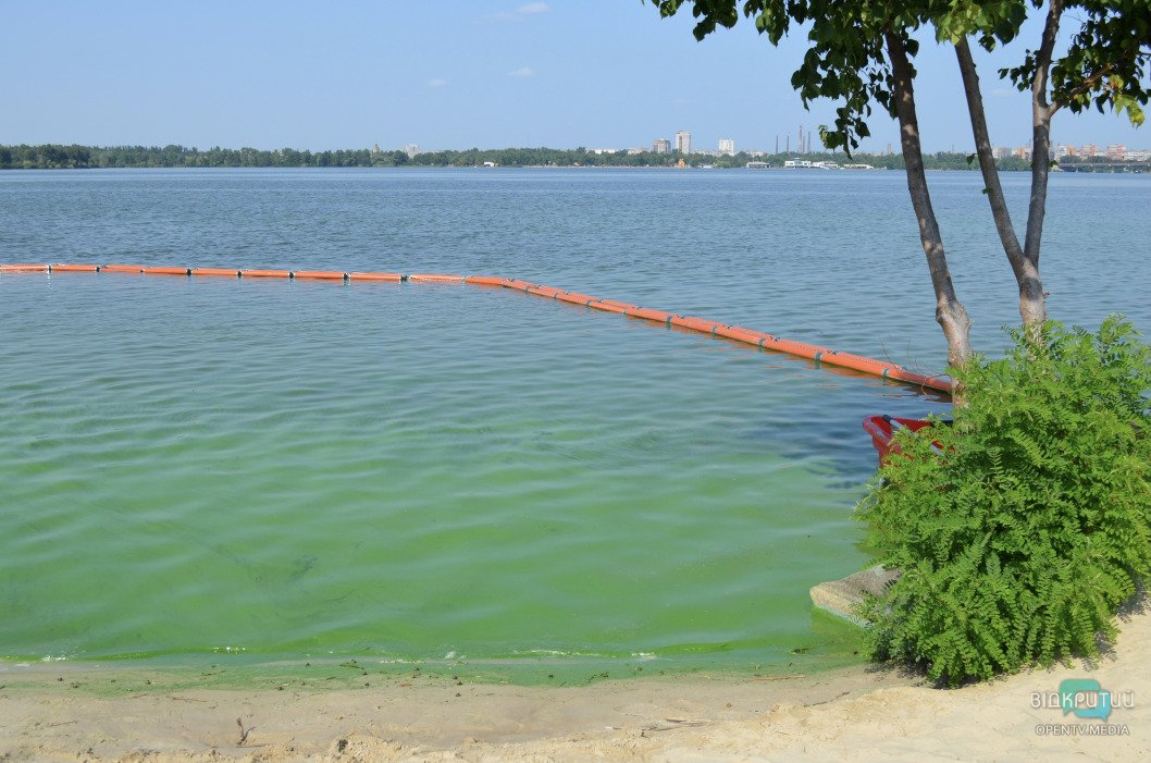 Нечистоты на пляже: владелец опровергает загрязнение новой зоны отдыха в Днепре - рис. 9