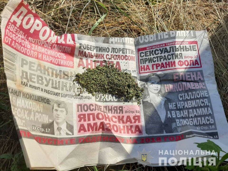 В Днепропетровской области полиция уничтожила более двухсот кустов конопли - рис. 3