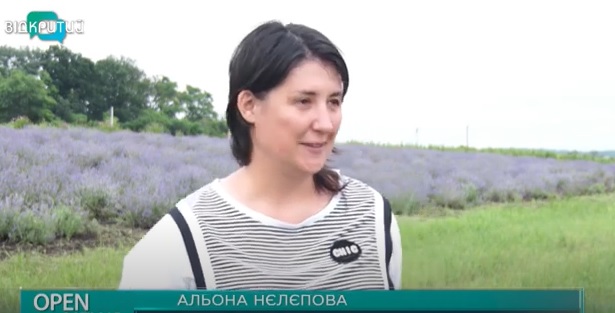 Фиолетовое «море»: под Днепром расцвело лавандовое поле (ВИДЕО) - рис. 3