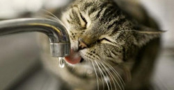 В Днепре из-за аварийных работ отключили водоснабжение: адреса - рис. 14