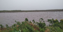 На Днепропетровщине из-за проливных дождей гибнут поля зерновых - рис. 11