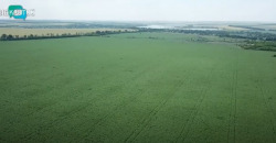 В Украине заработал рынок земли: за неделю заключено более 300 сделок - рис. 18
