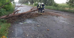 Спасатели устраняют последствия ночного урагана на Днепропетровщине: фото/видео - рис. 17