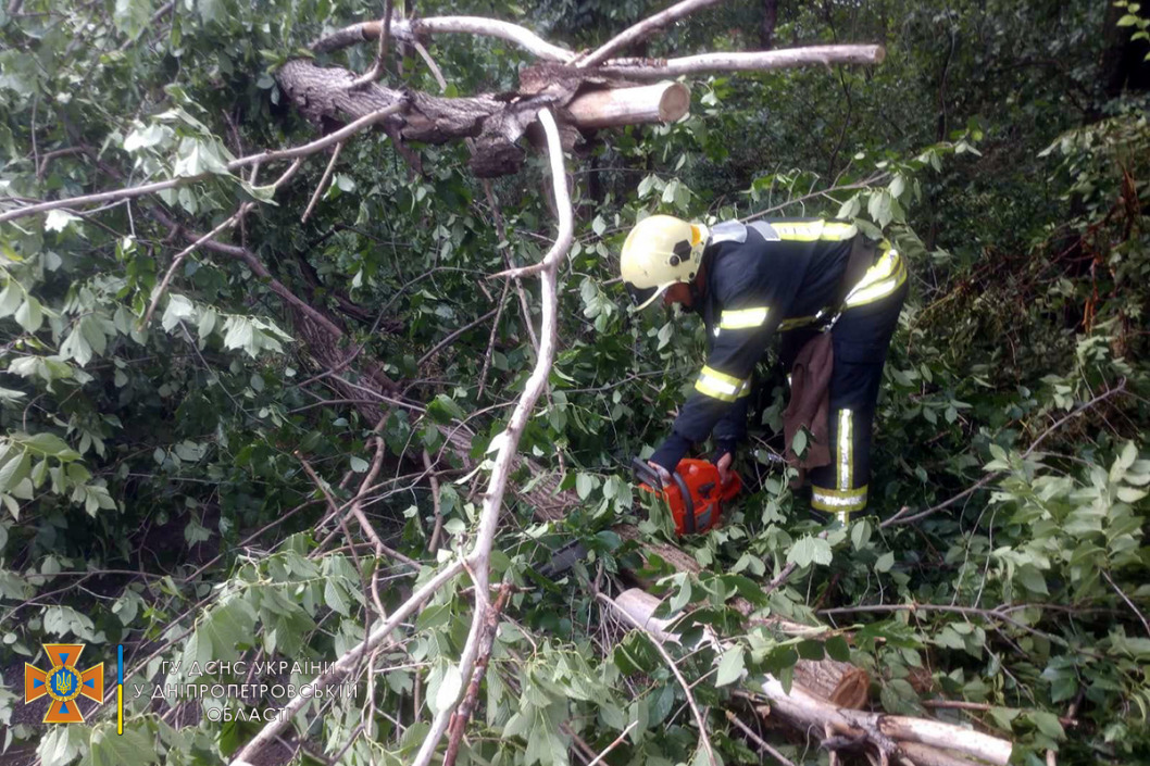 Спасатели устраняют последствия ночного урагана на Днепропетровщине: фото/видео - рис. 4