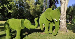 Зеленый зоопарк: в Кривом Роге появились чудо-фигурки животных из растений - рис. 3